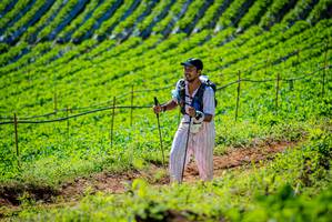 BIB: 
                            <button type="button" onclick="openModal(19161903)" class="btn btn-primary btn-sm float-right btn-popup" data-toggle="modal" data-target=".modal-high-quality">
                        <i class="fas fa-shopping-cart"></i> Add to Cart
                    </button>
                                            <button type="button" onclick="isThisMe(19161903, true)" class="btn btn-success btn-sm float-right btn-popup btn-isme hidden" data-toggle="tooltip" data-placement="bottom" title="นี่คือรูปของคุณใช่ไหม คลิกที่นี่เพื่อเอาเข้าอัลบั้ม">
                        <i class="fas fa-plus"></i> Add to album
                    </button>
                    <button type="button" onclick="isThisMe(19161903, false)" class="btn btn-warning btn-sm float-right btn-popup btn-isnotme hidden">
                        <i class="fas fa-ban"></i> Remove from album
                    </button>